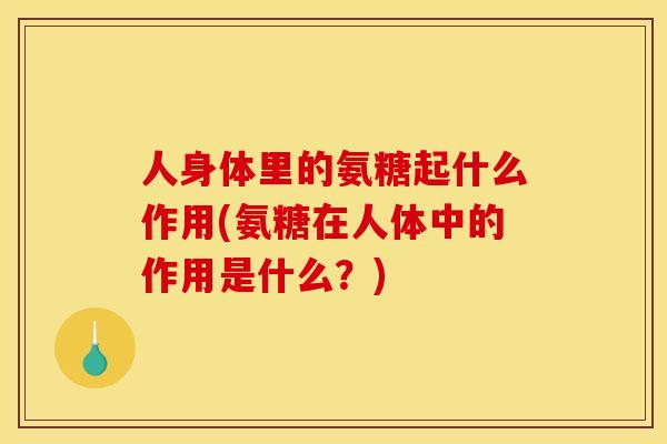 人身体里的氨糖起什么作用(氨糖在人体中的作用是什么？)