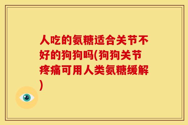 人吃的氨糖适合关节不好的狗狗吗(狗狗关节疼痛可用人类氨糖缓解)