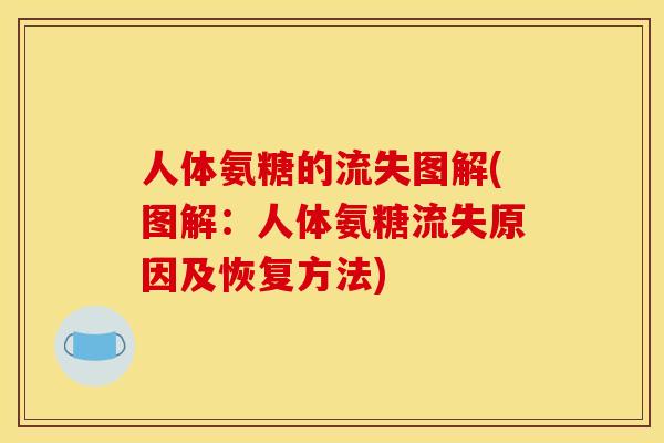 人体氨糖的流失图解(图解:人体氨糖流失原因及恢复方法) 人体氨糖的流失图解(图解:人体氨糖流失原因及恢复方法)