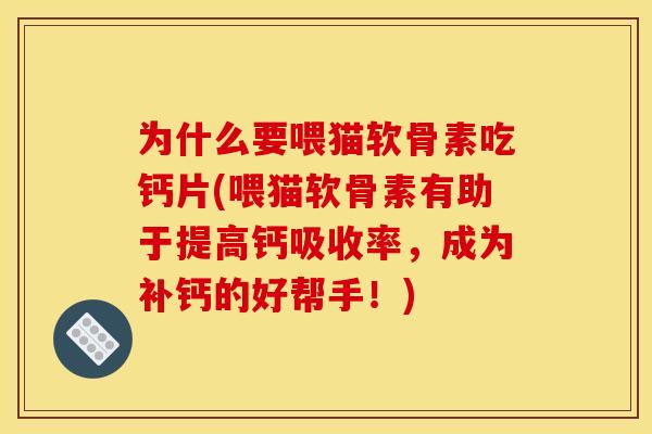 为什么要喂猫软骨素吃钙片(喂猫软骨素有助于提高钙吸收率，成为补钙的好帮手！)