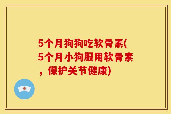 5个月狗狗吃软骨素(5个月小狗服用软骨素，保护关节健康)