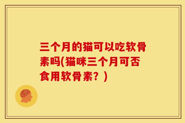 三个月的猫可以吃软骨素吗(猫咪三个月可否食用软骨素？)