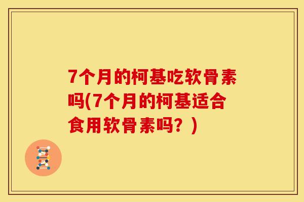 7个月的柯基吃软骨素吗(7个月的柯基适合食用软骨素吗？)