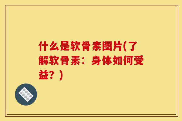 什么是软骨素图片(了解软骨素:身体如何受益?) 什么是软骨素图片(了解软骨素:身体如何受益?)