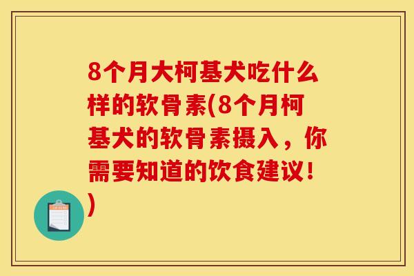 8个月大柯基犬吃什么样的软骨素(8个月柯基犬的软骨素摄入，你需要知道的饮食建议！)
