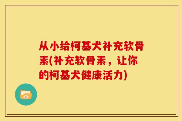 从小给柯基犬补充软骨素(补充软骨素,让你的柯基犬健康活力) 从小给柯基犬补充软骨素(补充软骨素,让你的柯基犬健康活力)