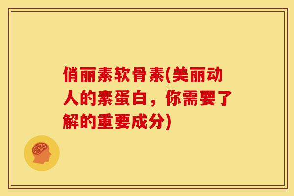 俏丽素软骨素(美丽动人的素蛋白，你需要了解的重要成分)