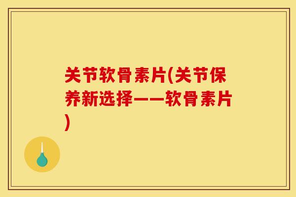关节软骨素片(关节保养新选择——软骨素片)