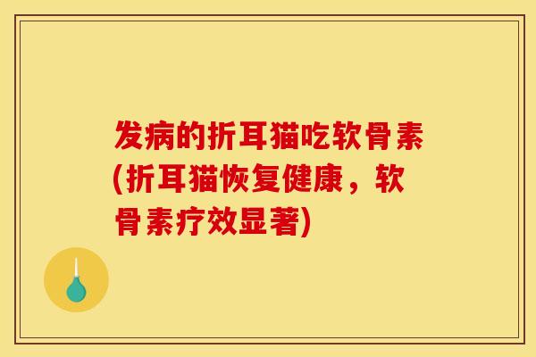 发病的折耳猫吃软骨素(折耳猫恢复健康，软骨素疗效显著)