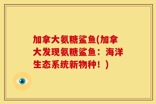 加拿大氨糖鲨鱼(加拿大发现氨糖鲨鱼：海洋生态系统新物种！)