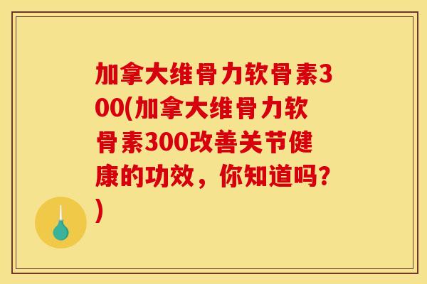 加拿大维骨力软骨素300(加拿大维骨力软骨素300改善关节健康的功效,你知道吗?) 加拿大维骨力软骨素300(加拿大维骨力软骨素300改善关节健康的功效,你知道吗?)