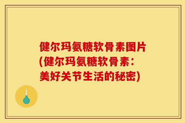 健尔玛氨糖软骨素图片(健尔玛氨糖软骨素：美好关节生活的秘密)