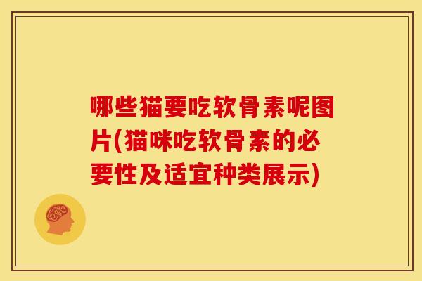 哪些猫要吃软骨素呢图片(猫咪吃软骨素的必要性及适宜种类展示) 哪些猫要吃软骨素呢图片(猫咪吃软骨素的必要性及适宜种类展示)
