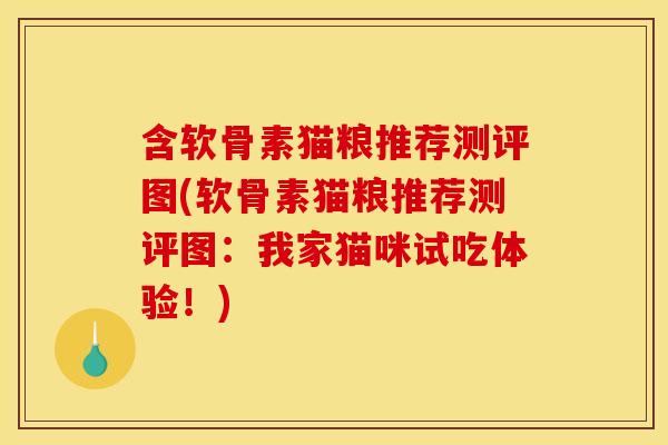 含软骨素猫粮推荐测评图(软骨素猫粮推荐测评图：我家猫咪试吃体验！)