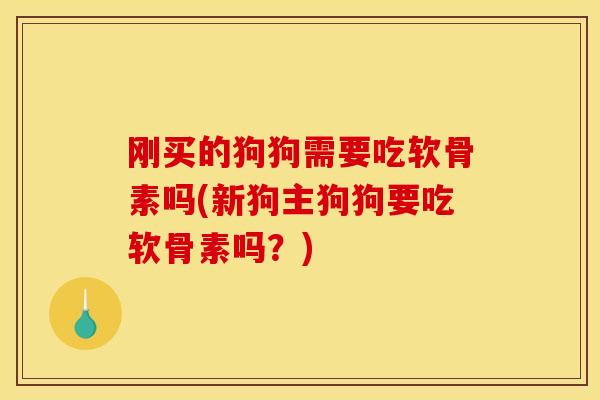 刚买的狗狗需要吃软骨素吗(新狗主狗狗要吃软骨素吗？)
