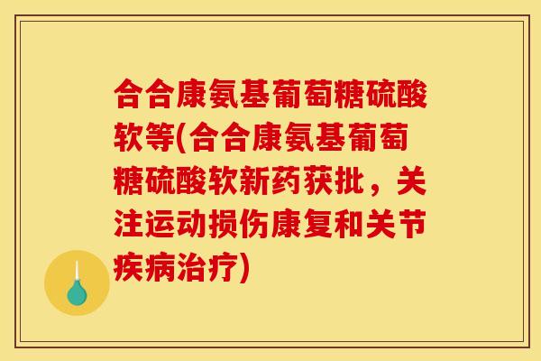 合合康氨基葡萄糖硫酸软等(合合康氨基葡萄糖硫酸软新药获批，关注运动损伤康复和关节疾病治疗)