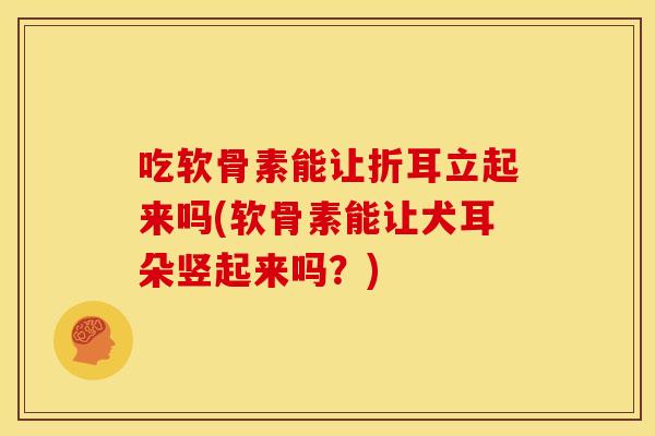吃软骨素能让折耳立起来吗(软骨素能让犬耳朵竖起来吗？)