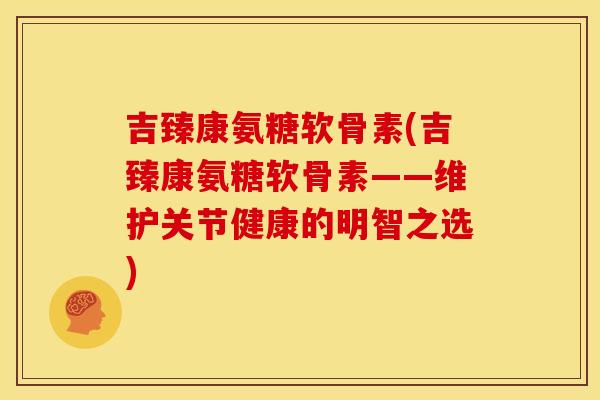 吉臻康氨糖软骨素(吉臻康氨糖软骨素——维护关节健康的明智之选)
