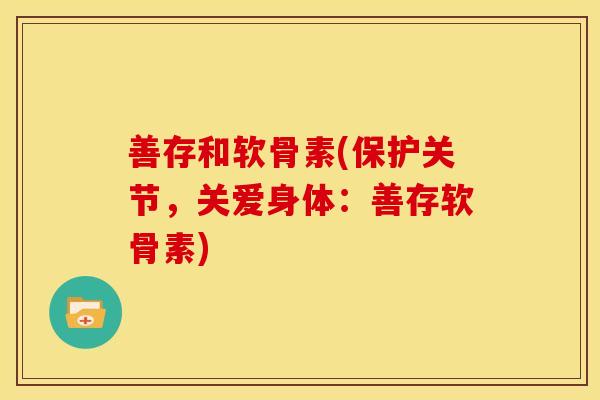 善存和软骨素(保护关节，关爱身体：善存软骨素)