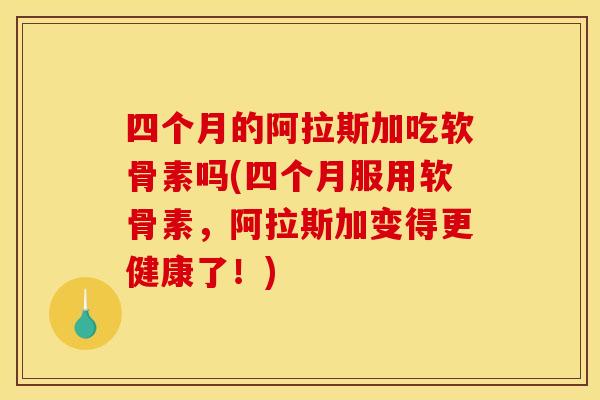 四个月的阿拉斯加吃软骨素吗(四个月服用软骨素，阿拉斯加变得更健康了！)