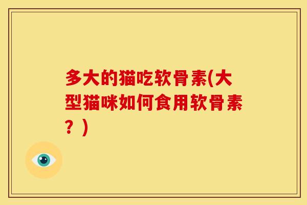 多大的猫吃软骨素(大型猫咪如何食用软骨素？)