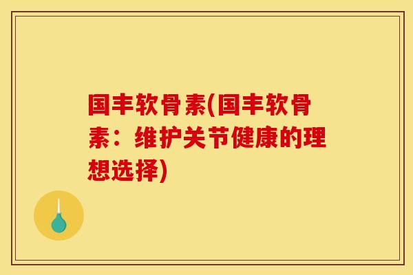 国丰软骨素(国丰软骨素：维护关节健康的理想选择)