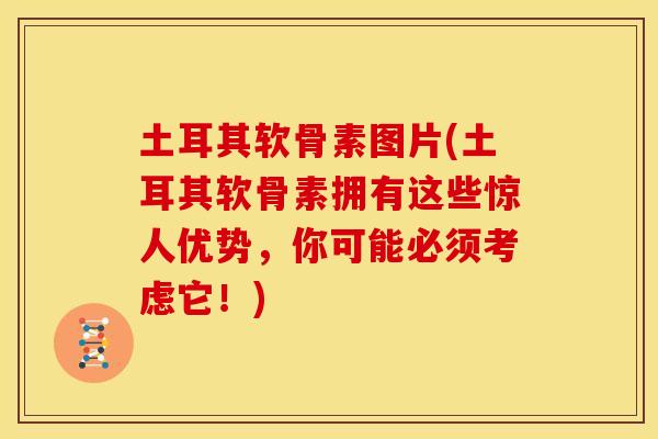土耳其软骨素图片(土耳其软骨素拥有这些惊人优势,你可能必须考虑它!) 土耳其软骨素图片(土耳其软骨素拥有这些惊人优势,你可能必须考虑它!)