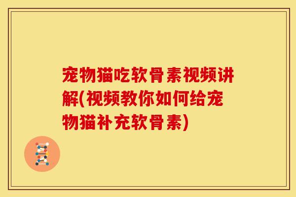 宠物猫吃软骨素视频讲解(视频教你如何给宠物猫补充软骨素)