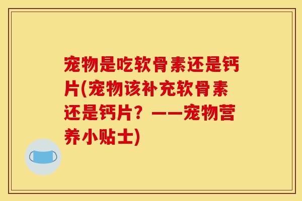 宠物是吃软骨素还是钙片(宠物该补充软骨素还是钙片？——宠物营养小贴士)