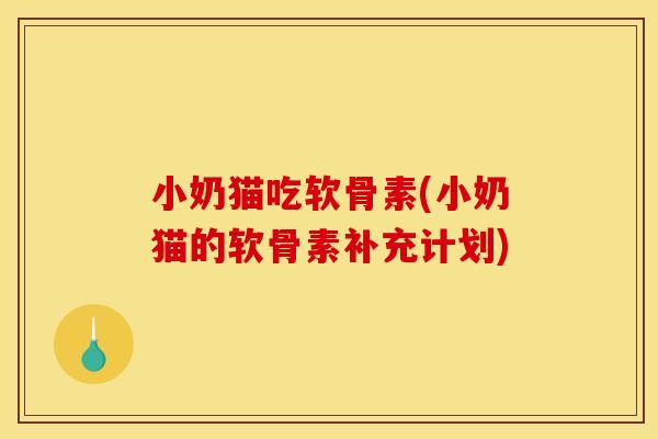 小奶猫吃软骨素(小奶猫的软骨素补充计划)