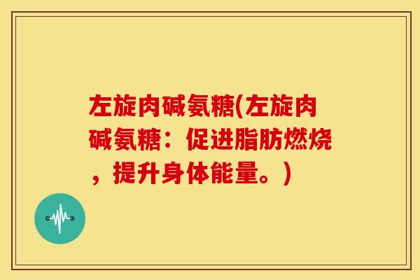 左旋肉碱氨糖(左旋肉碱氨糖：促进脂肪燃烧，提升身体能量。)