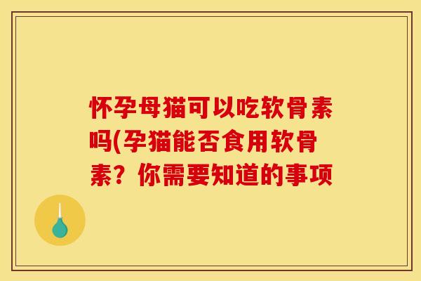 怀孕母猫可以吃软骨素吗(孕猫能否食用软骨素？你需要知道的事项
