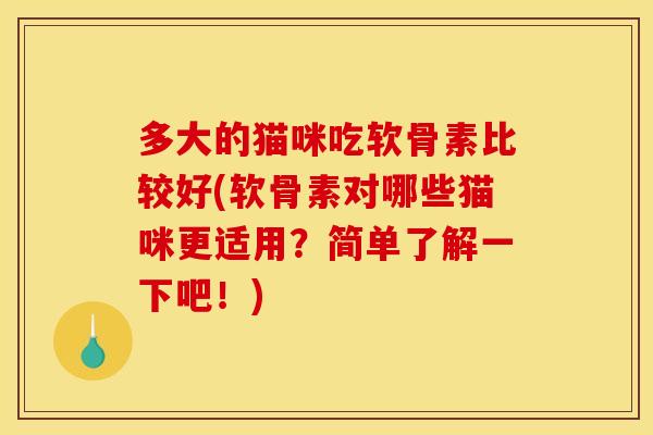 多大的猫咪吃软骨素比较好(软骨素对哪些猫咪更适用？简单了解一下吧！)