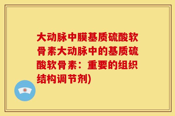 大动脉中膜基质硫酸软骨素大动脉中的基质硫酸软骨素：重要的组织结构调节剂)