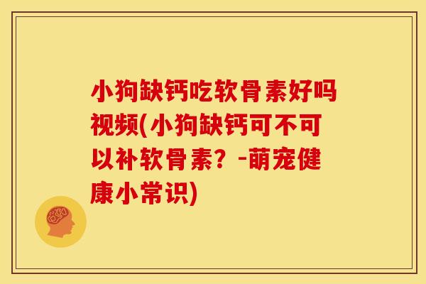 小狗缺钙吃软骨素好吗视频(小狗缺钙可不可以补软骨素？-萌宠健康小常识)
