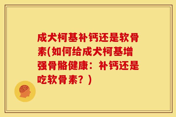成犬柯基补钙还是软骨素(如何给成犬柯基增强骨骼健康：补钙还是吃软骨素？)