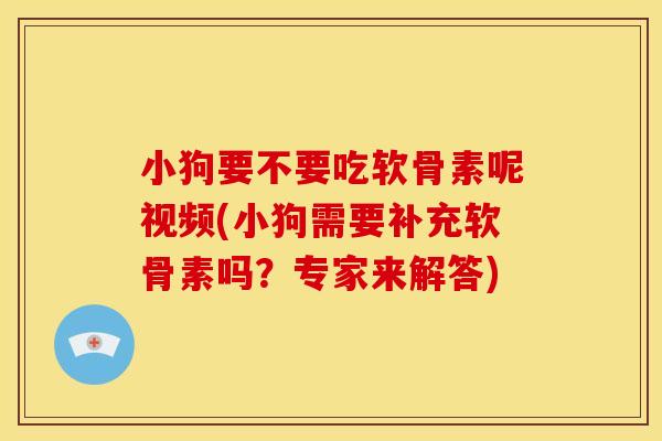小狗要不要吃软骨素呢视频(小狗需要补充软骨素吗?专家来解答) 小狗要不要吃软骨素呢视频(小狗需要补充软骨素吗?专家来解答)
