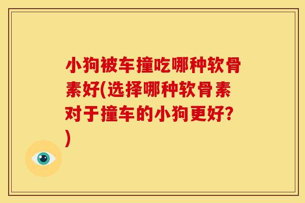 小狗被车撞吃哪种软骨素好(选择哪种软骨素对于撞车的小狗更好？)