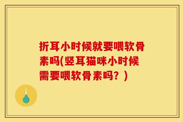 折耳小时候就要喂软骨素吗(竖耳猫咪小时候需要喂软骨素吗？)