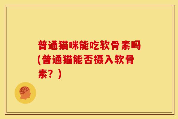 普通猫咪能吃软骨素吗(普通猫能否摄入软骨素？)