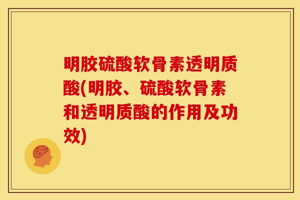 明胶硫酸软骨素透明质酸(明胶、硫酸软骨素和透明质酸的作用及功效)