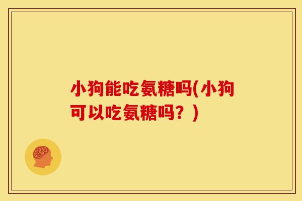 小狗能吃氨糖吗(小狗可以吃氨糖吗？)