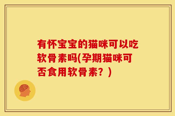 有怀宝宝的猫咪可以吃软骨素吗(孕期猫咪可否食用软骨素？)