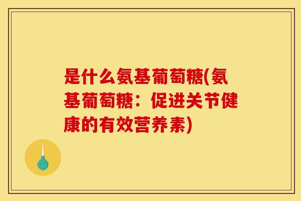 是什么氨基葡萄糖(氨基葡萄糖：促进关节健康的有效营养素)