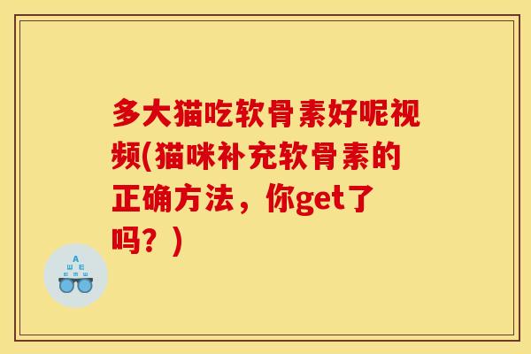 多大猫吃软骨素好呢视频(猫咪补充软骨素的正确方法，你get了吗？)