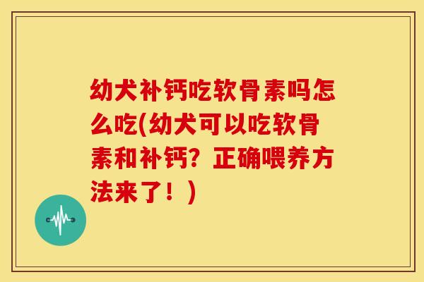 幼犬补钙吃软骨素吗怎么吃(幼犬可以吃软骨素和补钙？正确喂养方法来了！)