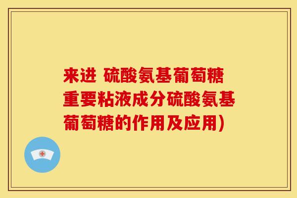 来进 硫酸氨基葡萄糖重要粘液成分硫酸氨基葡萄糖的作用及应用)