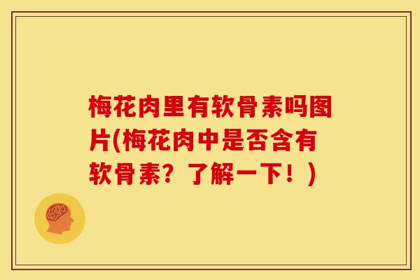 梅花肉里有软骨素吗图片(梅花肉中是否含有软骨素？了解一下！)