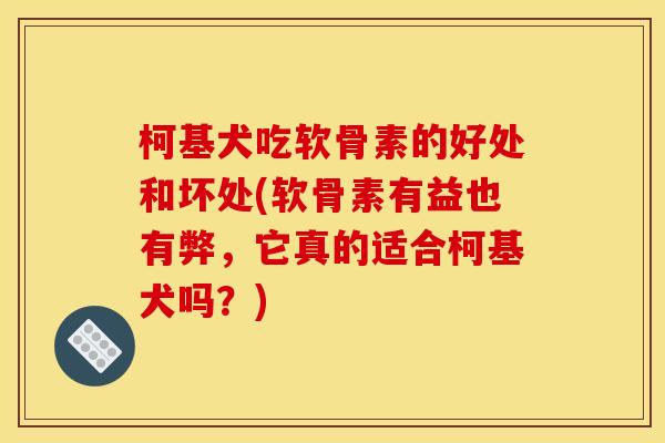 柯基犬吃软骨素的好处和坏处(软骨素有益也有弊，它真的适合柯基犬吗？)
