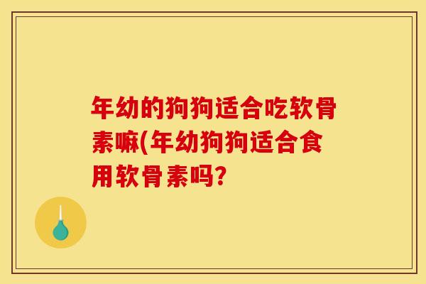 年幼的狗狗适合吃软骨素嘛(年幼狗狗适合食用软骨素吗？